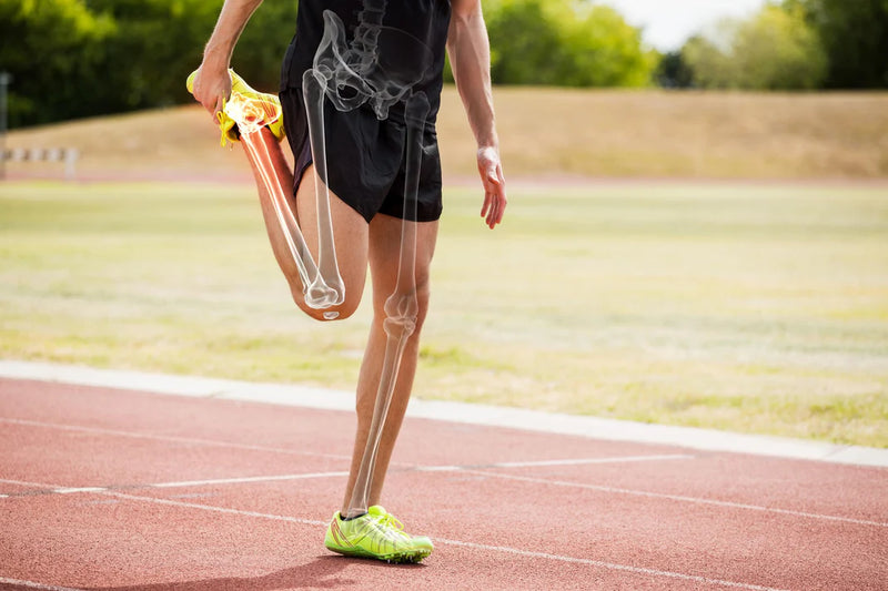 Product Resource | Bone Health Training
