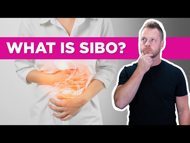 SIBO - What Is It and How to Treat It