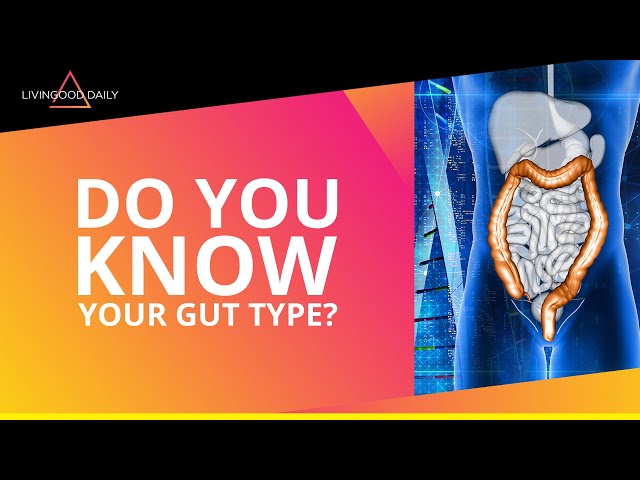 Do You Know Your Gut Type?