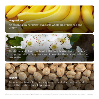Livingood Daily Blood Pressure Support