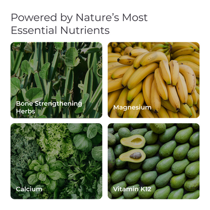 Livingood Daily Bone Support