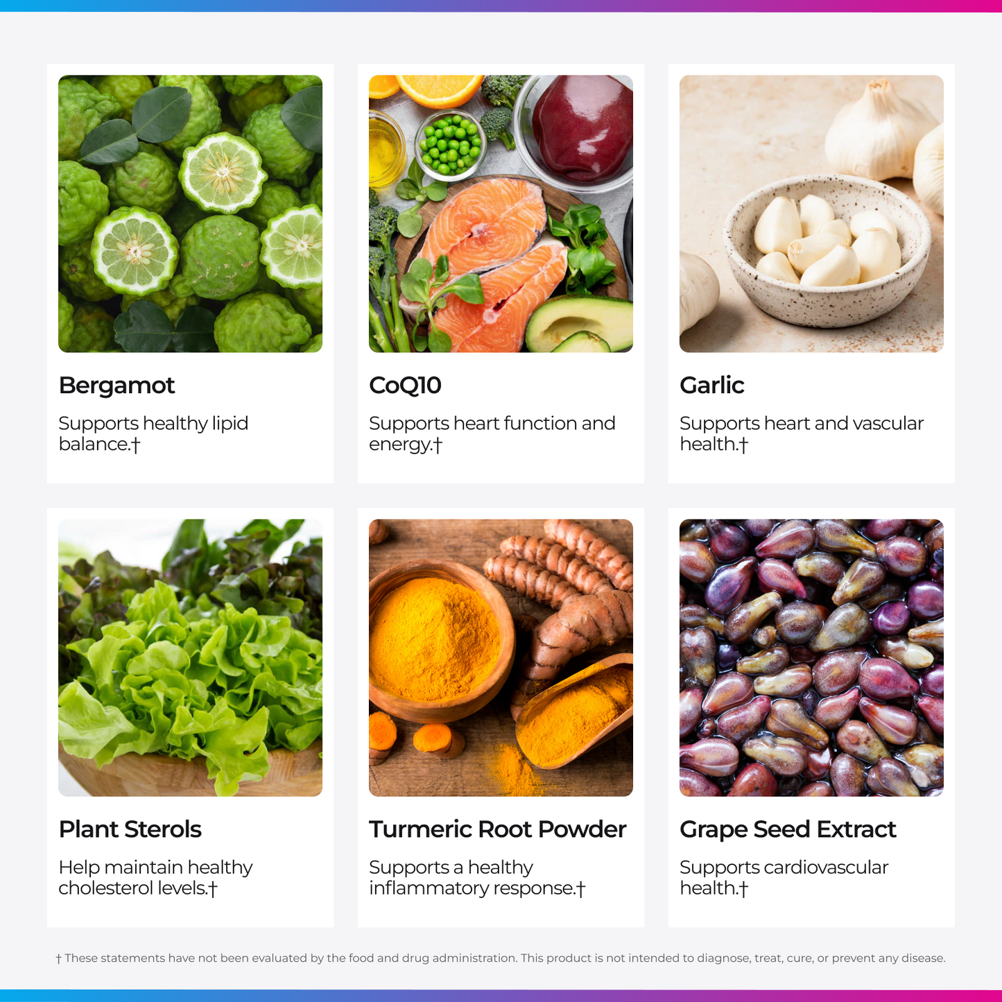 Livingood Daily Cholesterol Support