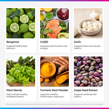 Livingood Daily Cholesterol Support