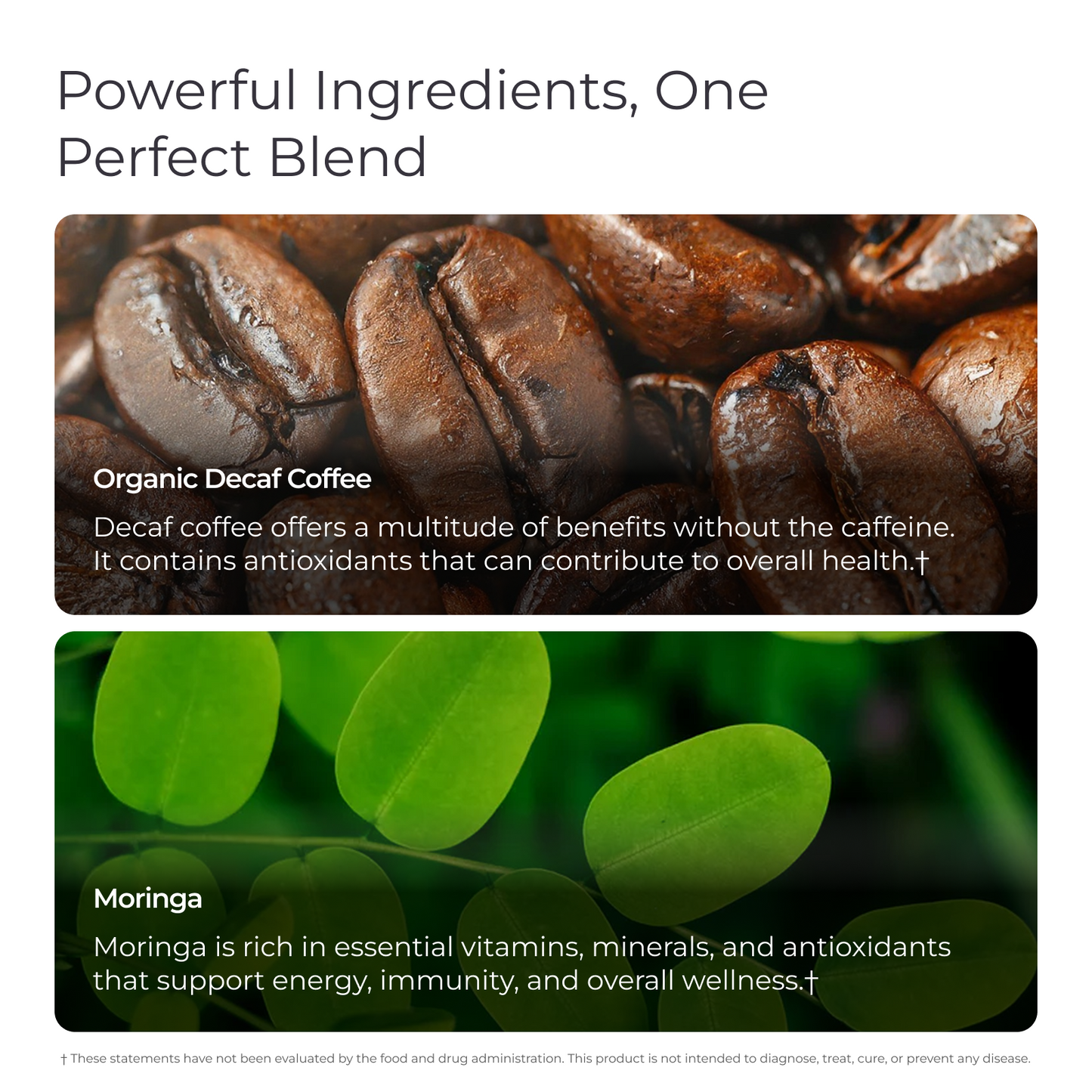 Livingood Daily Coffee + Moringa Ground Swiss Water Decaf
