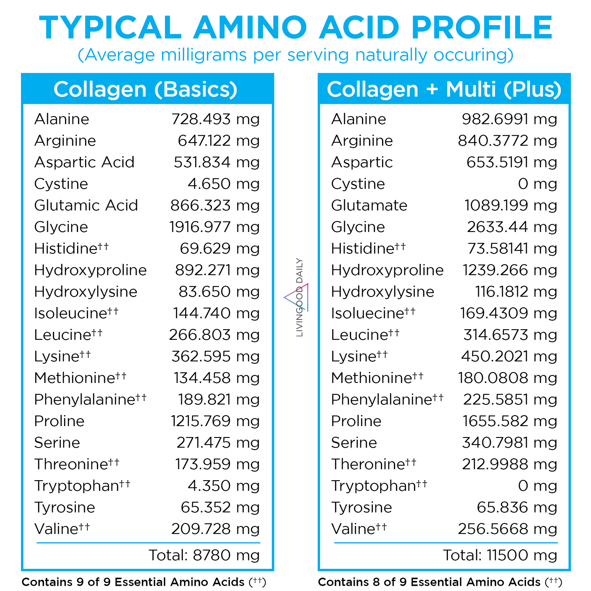 Comparison of Collagen Basics and Collagen Plus Amino Acid Profiles