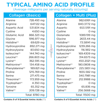 Collagen supplements comparison chart showing amino acid profiles for Collagen Basics and Collagen Multi Plus