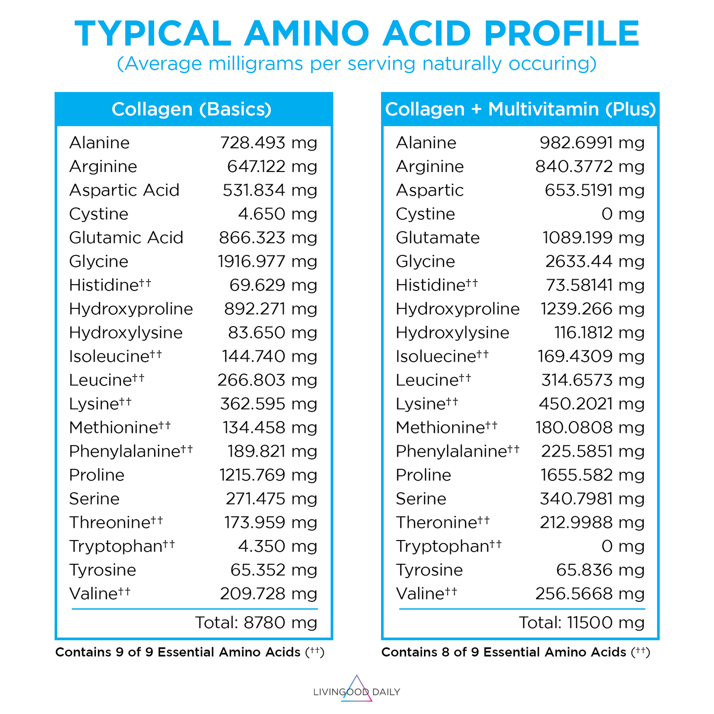 Pumpkin Spice Collagen + Multivitamin