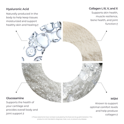 Livingood Daily Collagen + Joint Support
