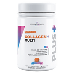 Livingood Daily Collagen + Multi (Pumpkin Spice)