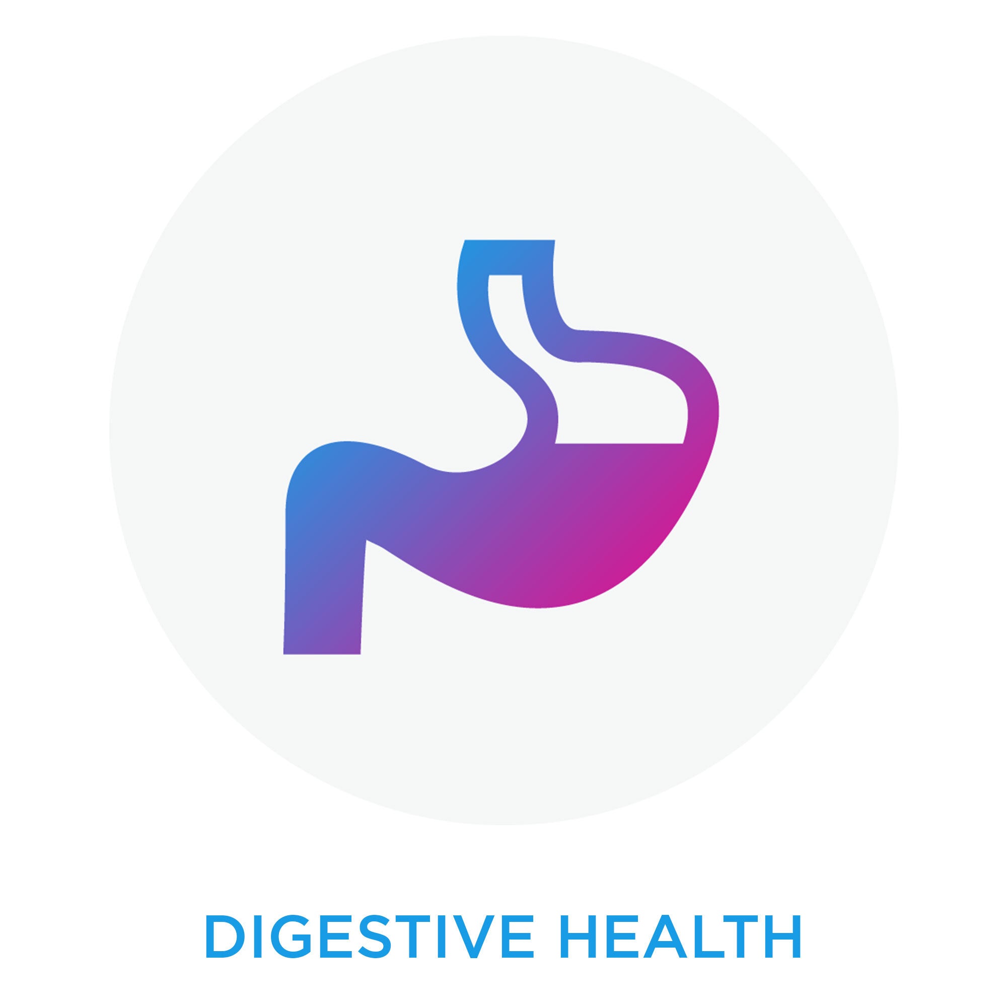 digestive health icon