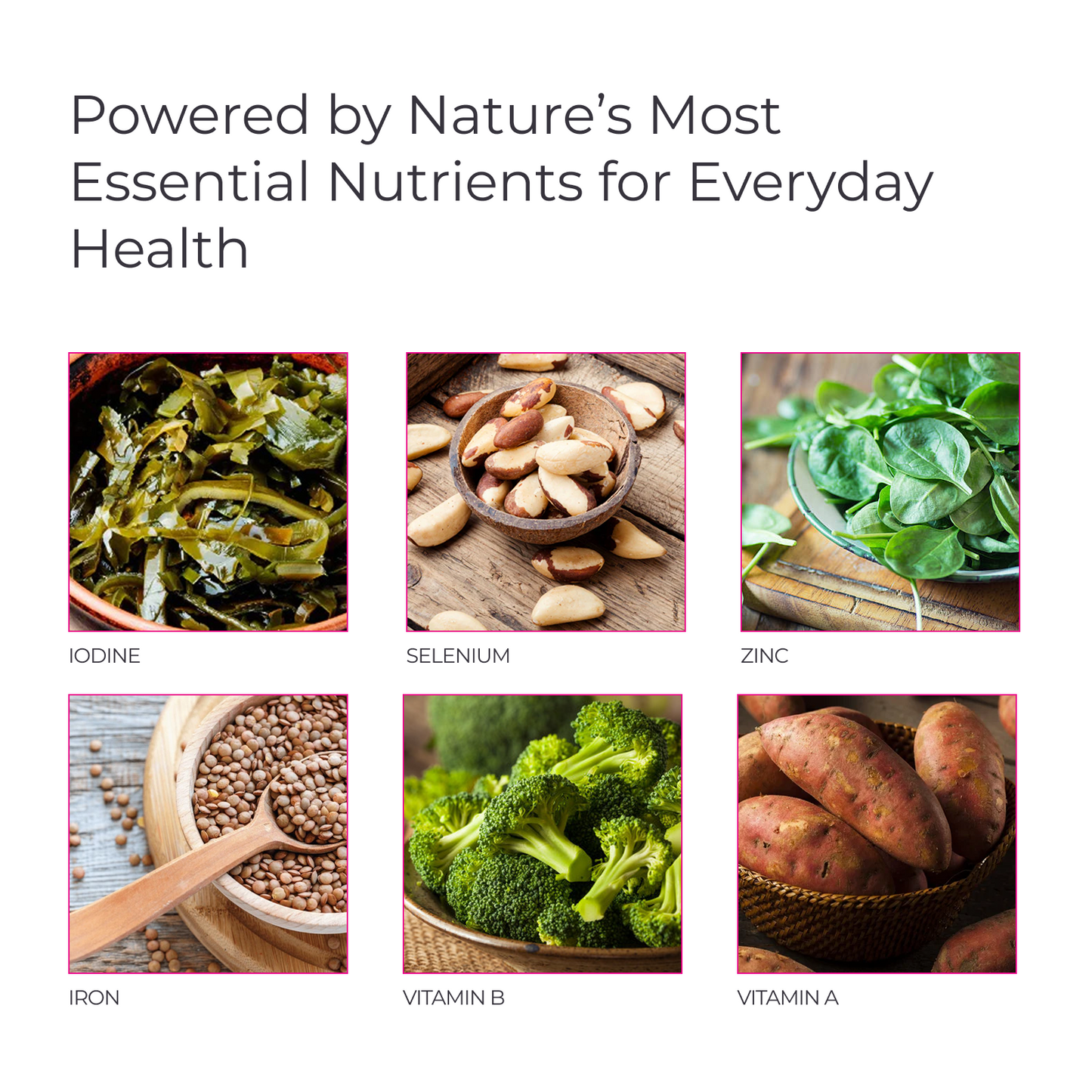 Livingood Daily Multi Vitamin