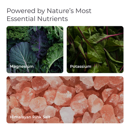 Livingood Daily Electrolytes (Lemon Lime)
