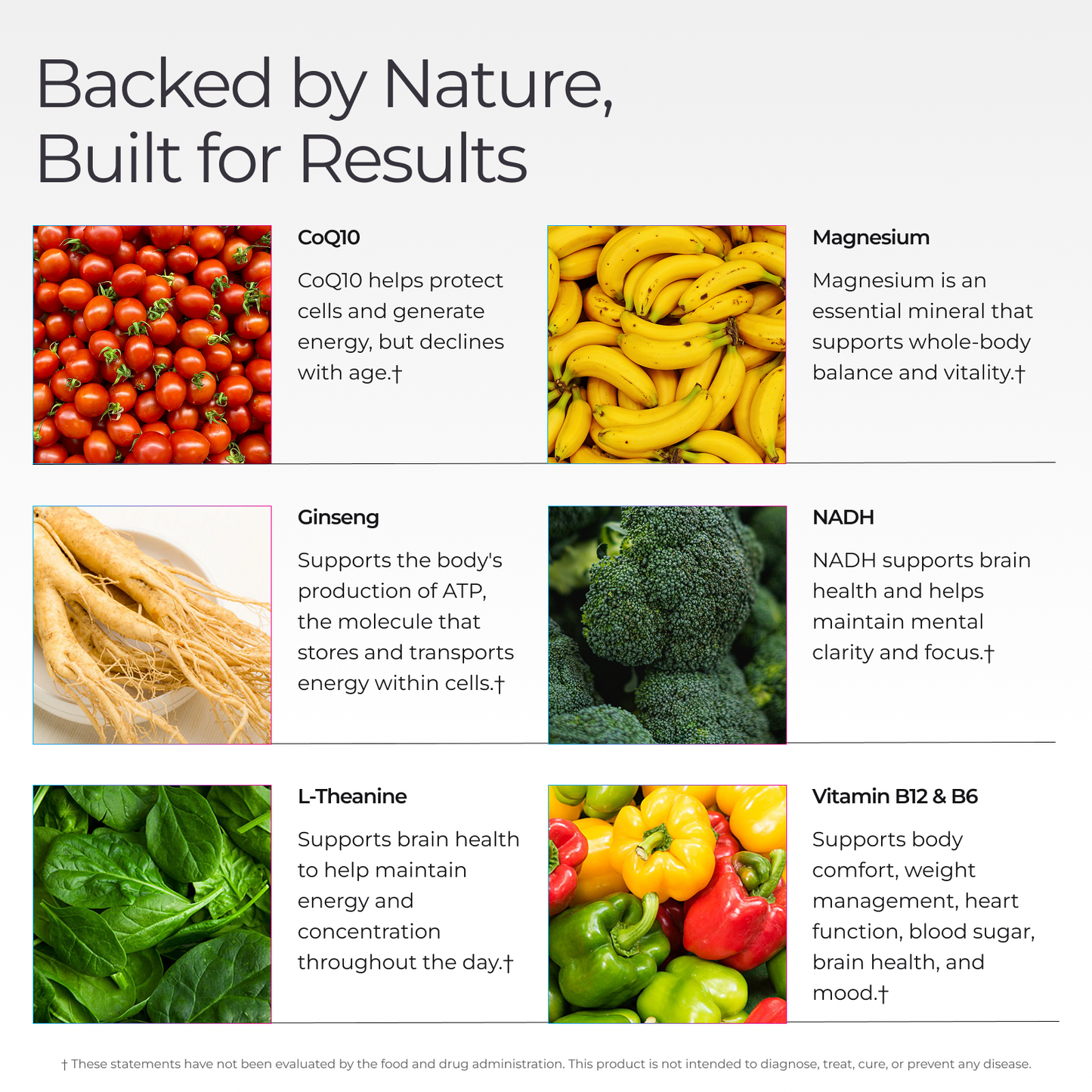 Livingood Daily Energy Support