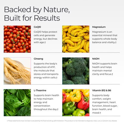 Livingood Daily Energy Support