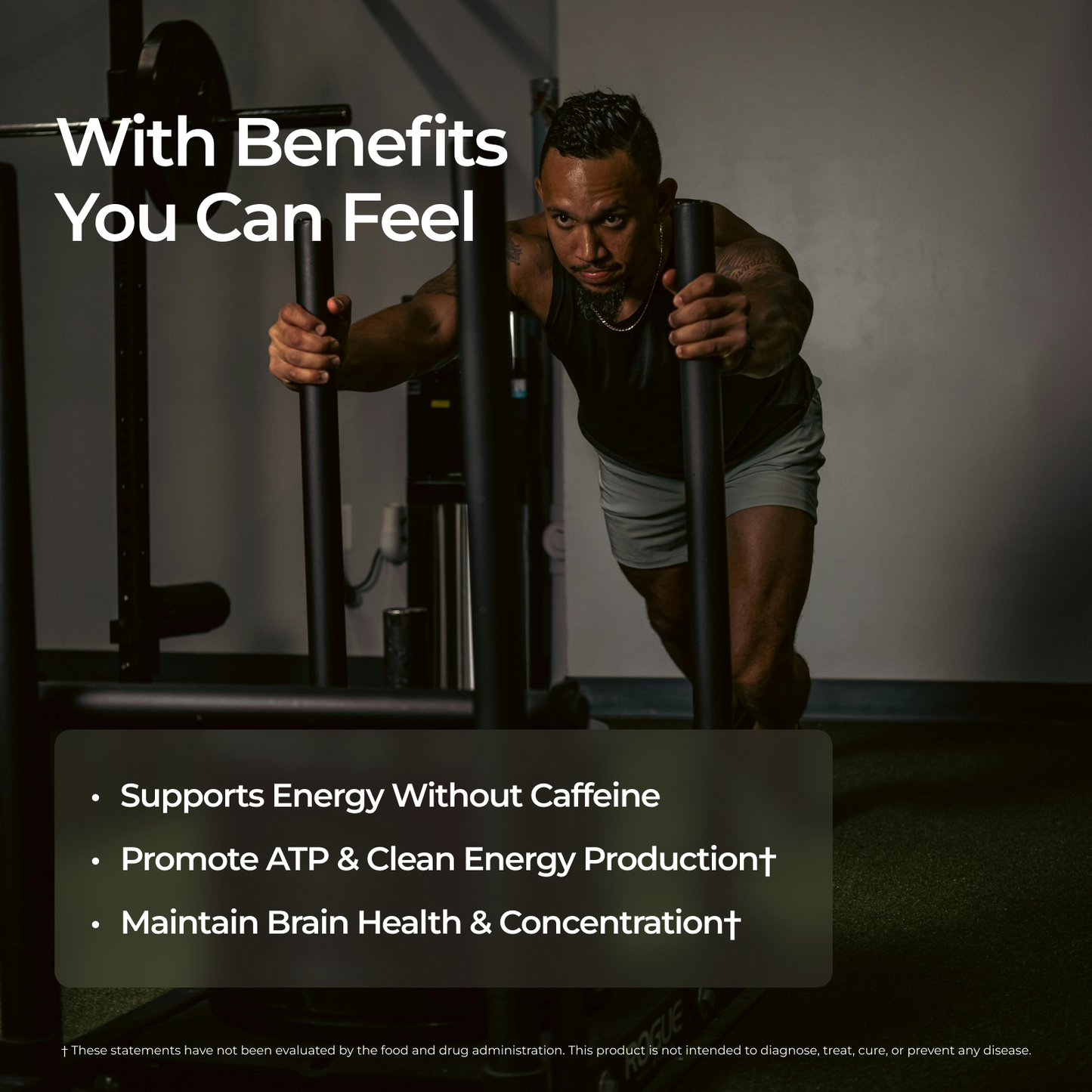 Livingood Daily Energy Support