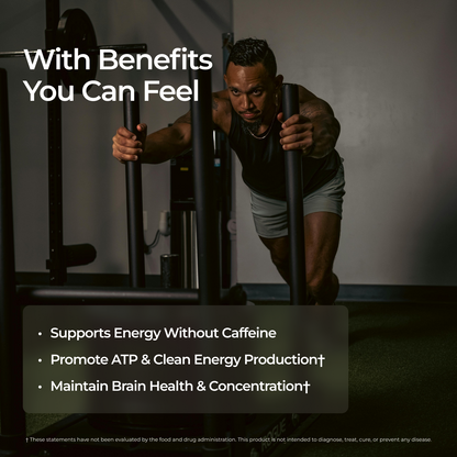 Livingood Daily Energy Support