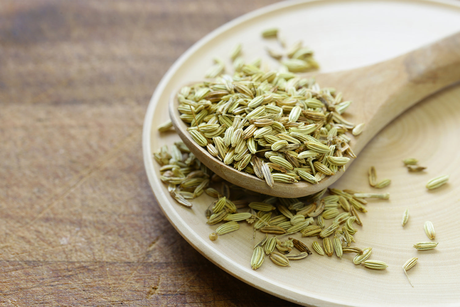 Fennel_Seed