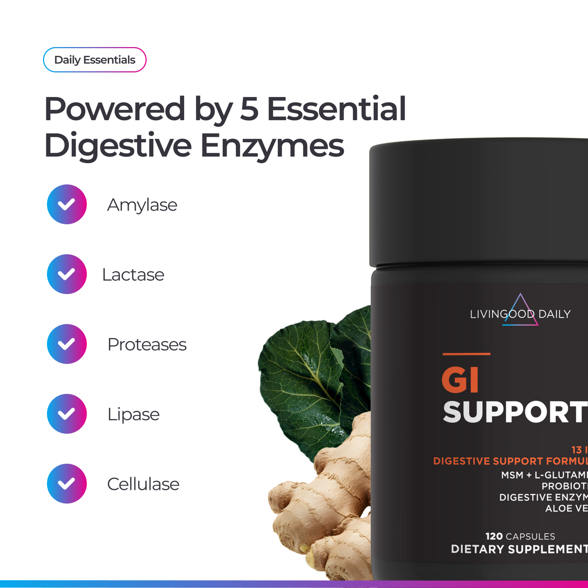 Livingood Daily GI Support