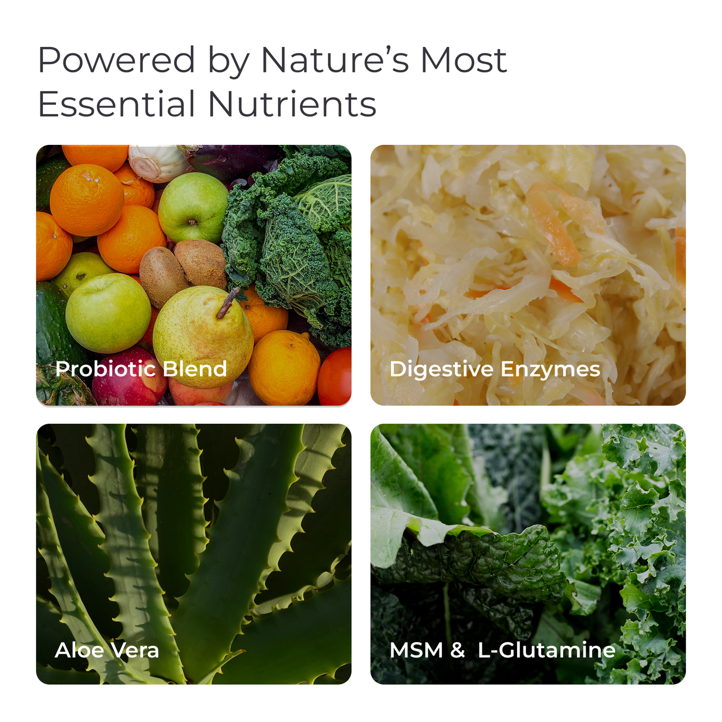 Livingood Daily GI Support