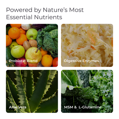 Livingood Daily GI Support