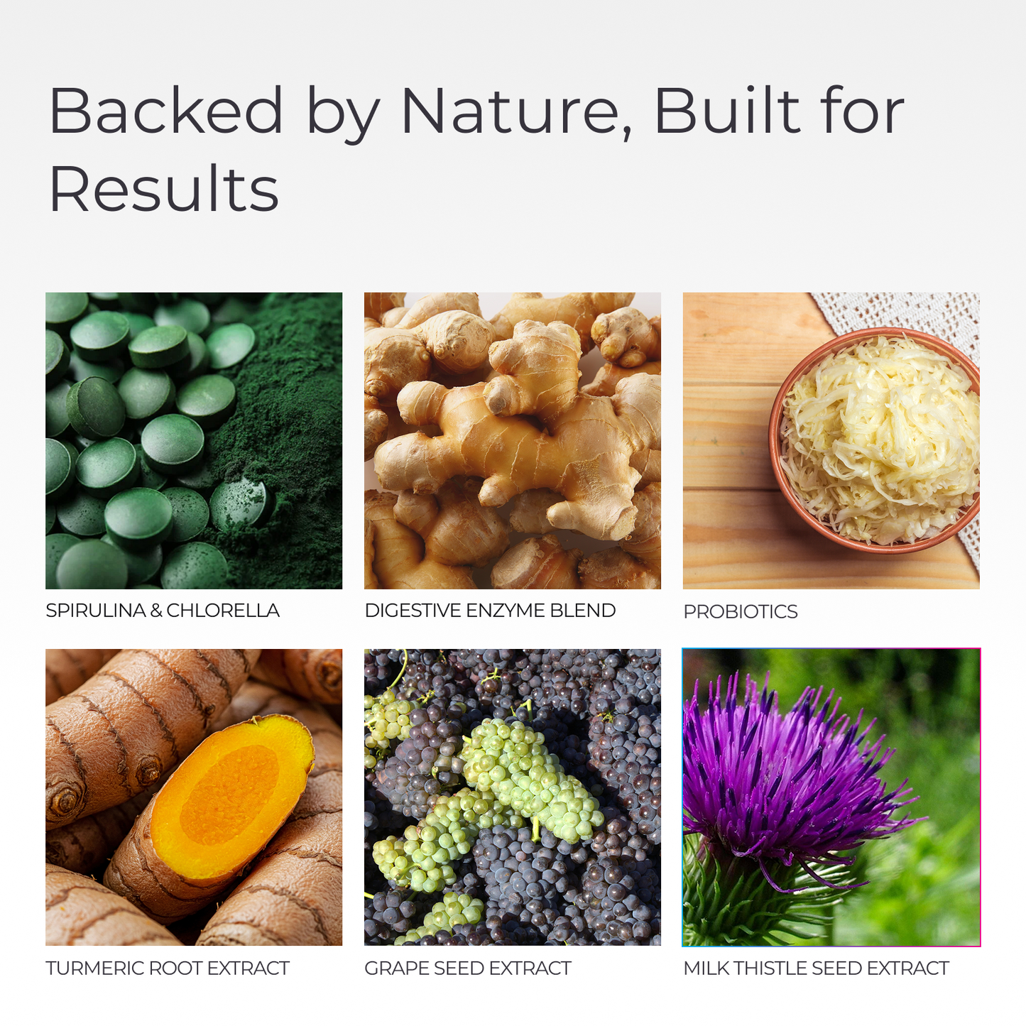 Livingood Daily Greens + Superfoods (Chocolate)