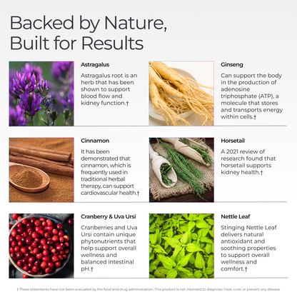 Livingood Daily Kidney + UT Cleanse or Support