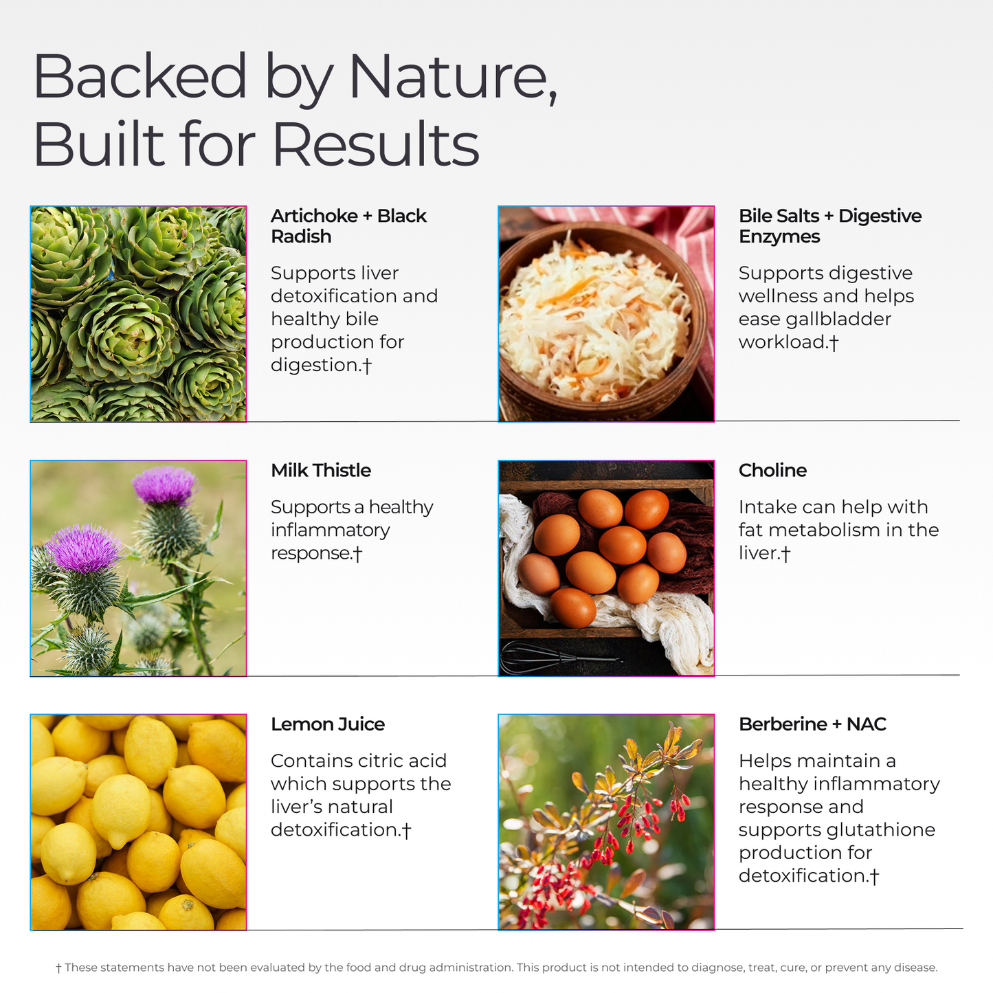 Livingood Daily Liver + Gallbladder Cleanse or Support