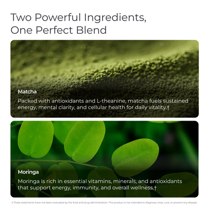 Livingood Daily Matcha + Moringa