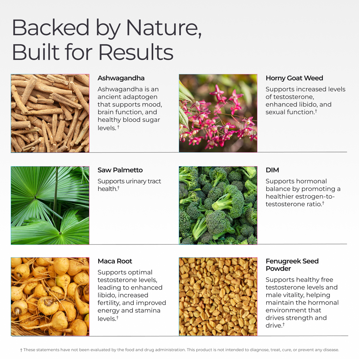 Livingood Daily Men's Hormone Support