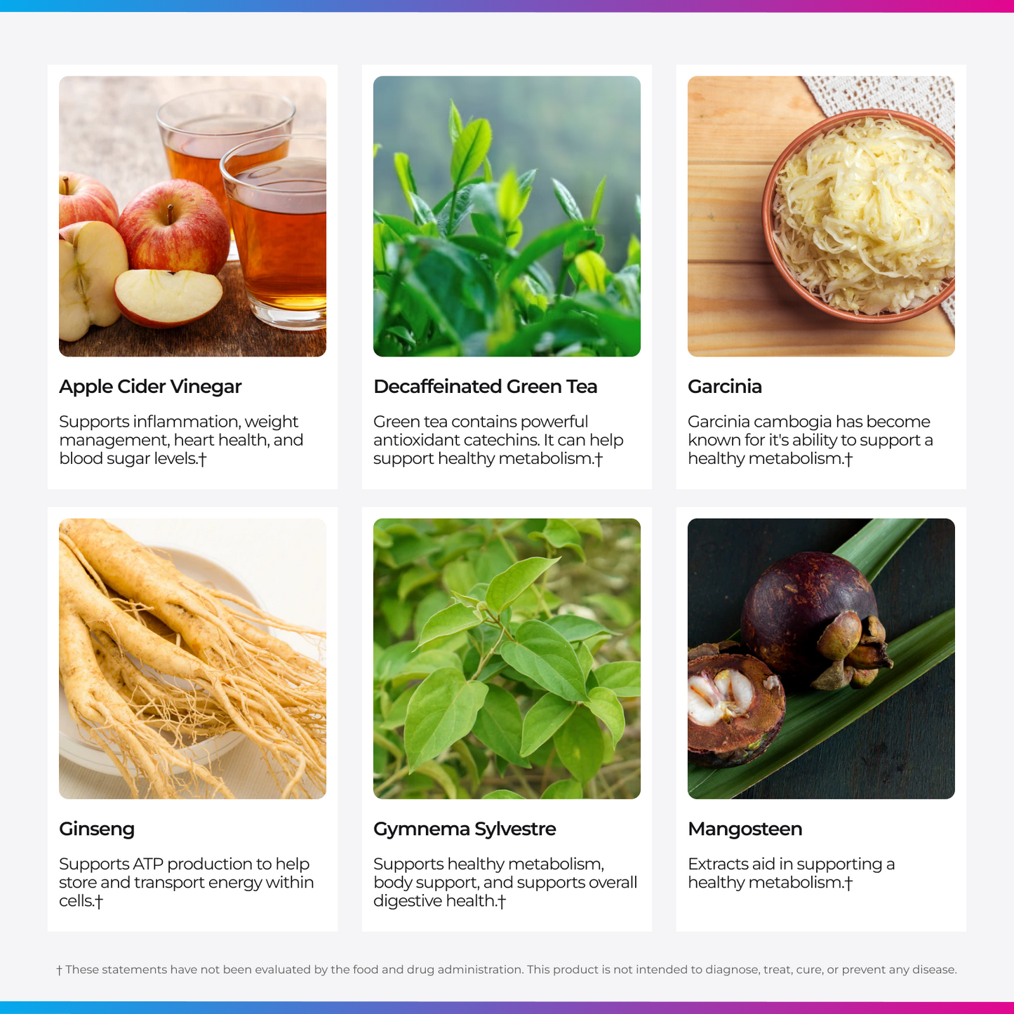 Livingood Daily Metabolic Support