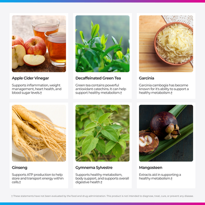 Livingood Daily Metabolic Support
