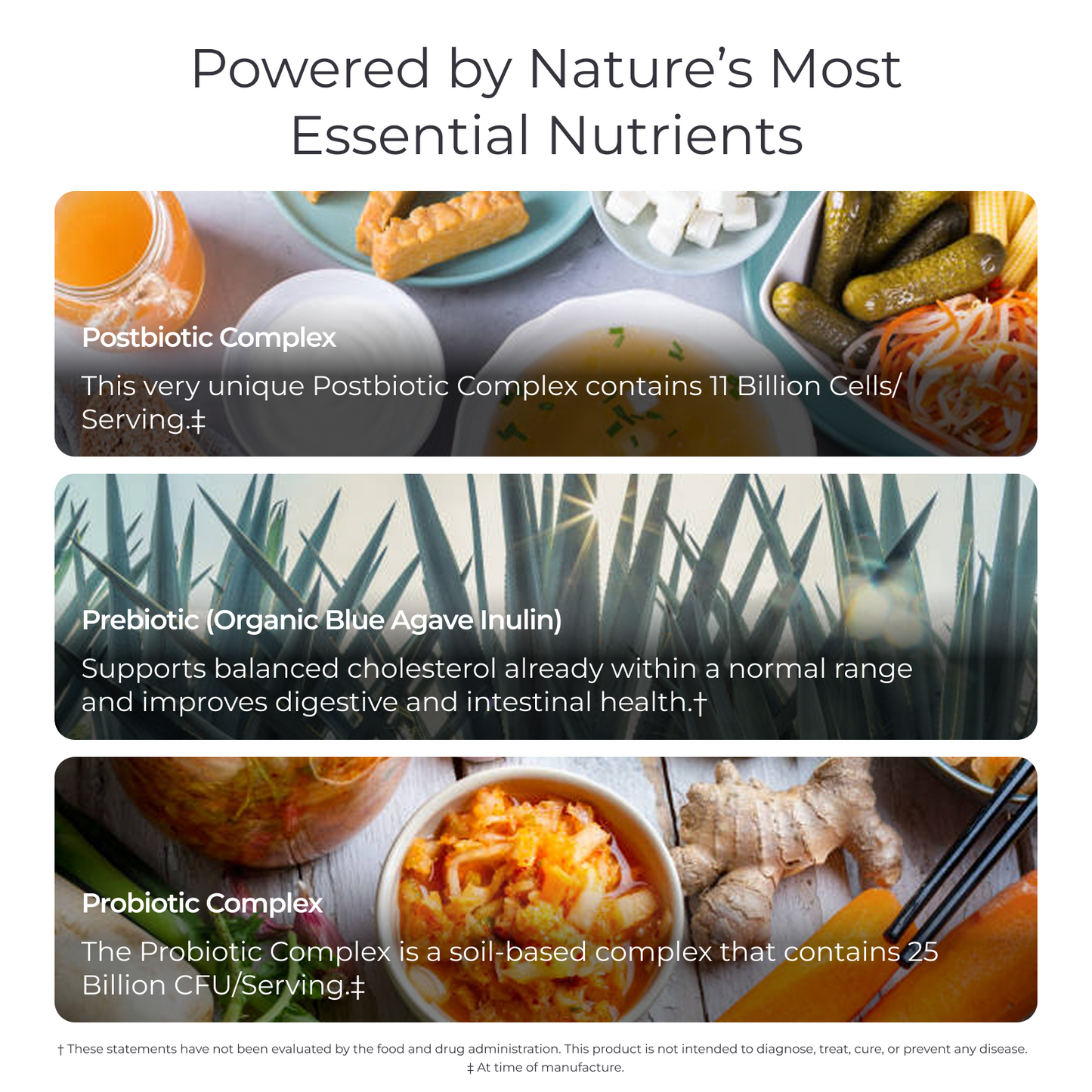Livingood Daily Pre-Pro-Post Biotics Blend