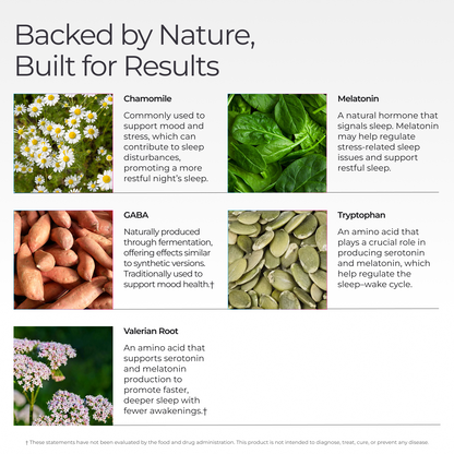 Livingood Daily Sleep Support