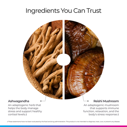 Livingood Daily Stress Support