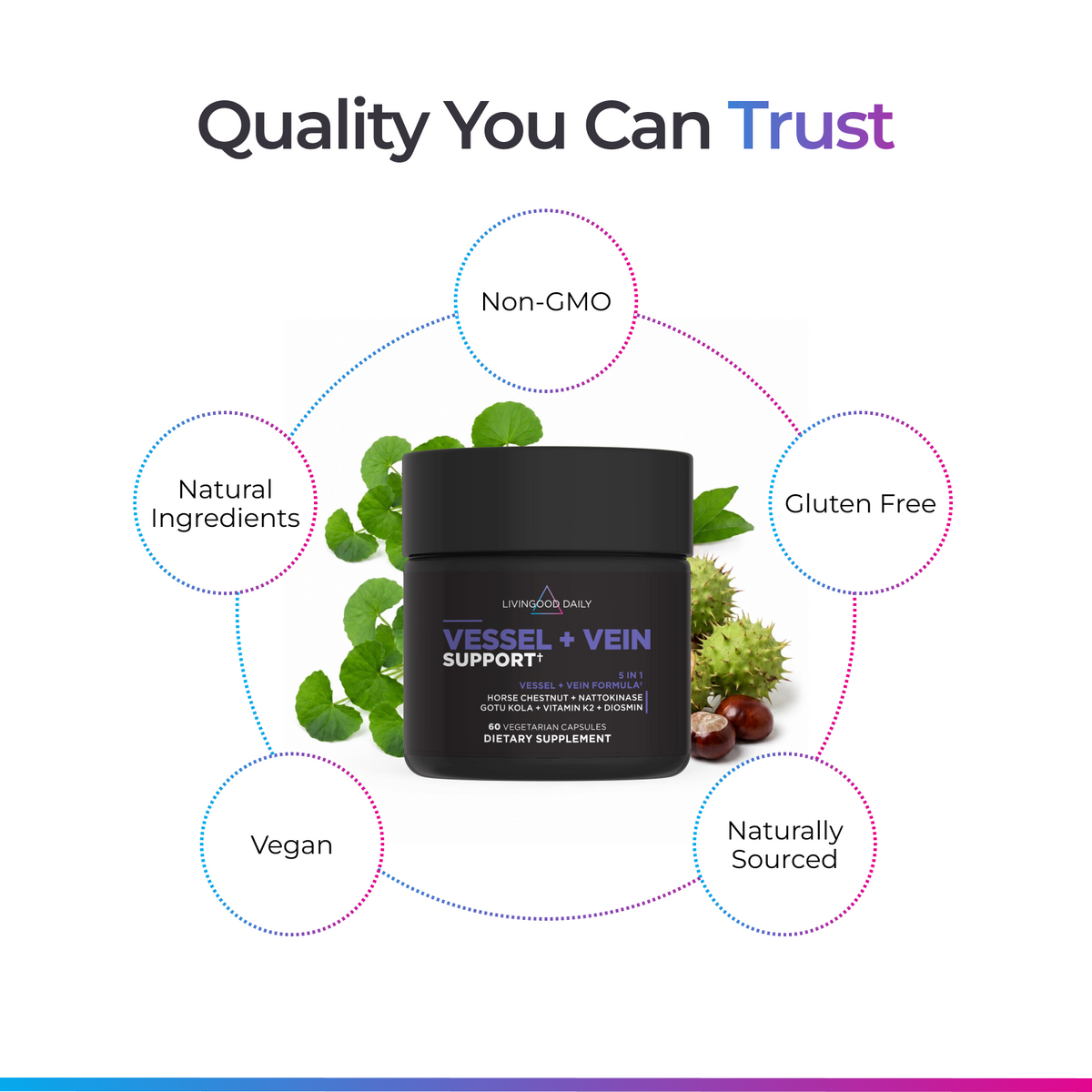 Livingood Daily Vessel + Vein Support