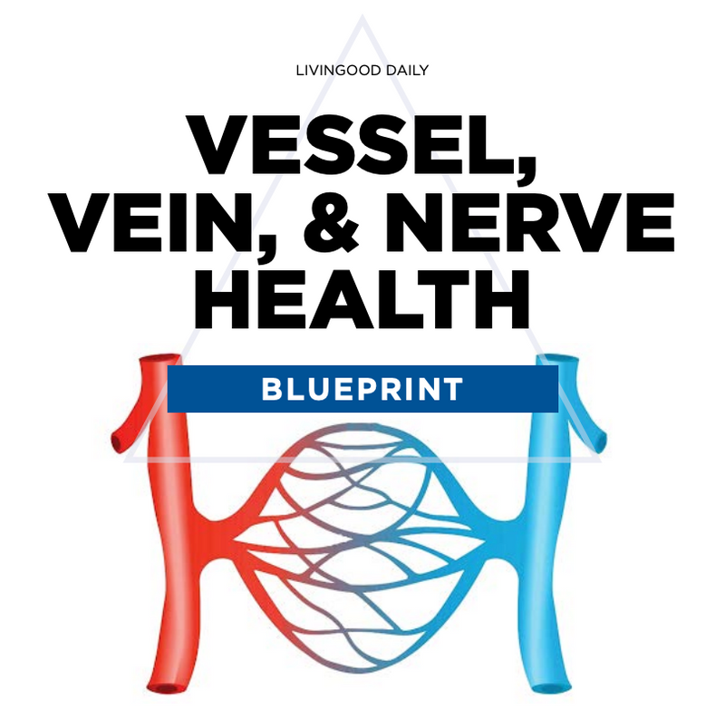 Product Resource | Vessel + Vein and Nerve Health Blueprint