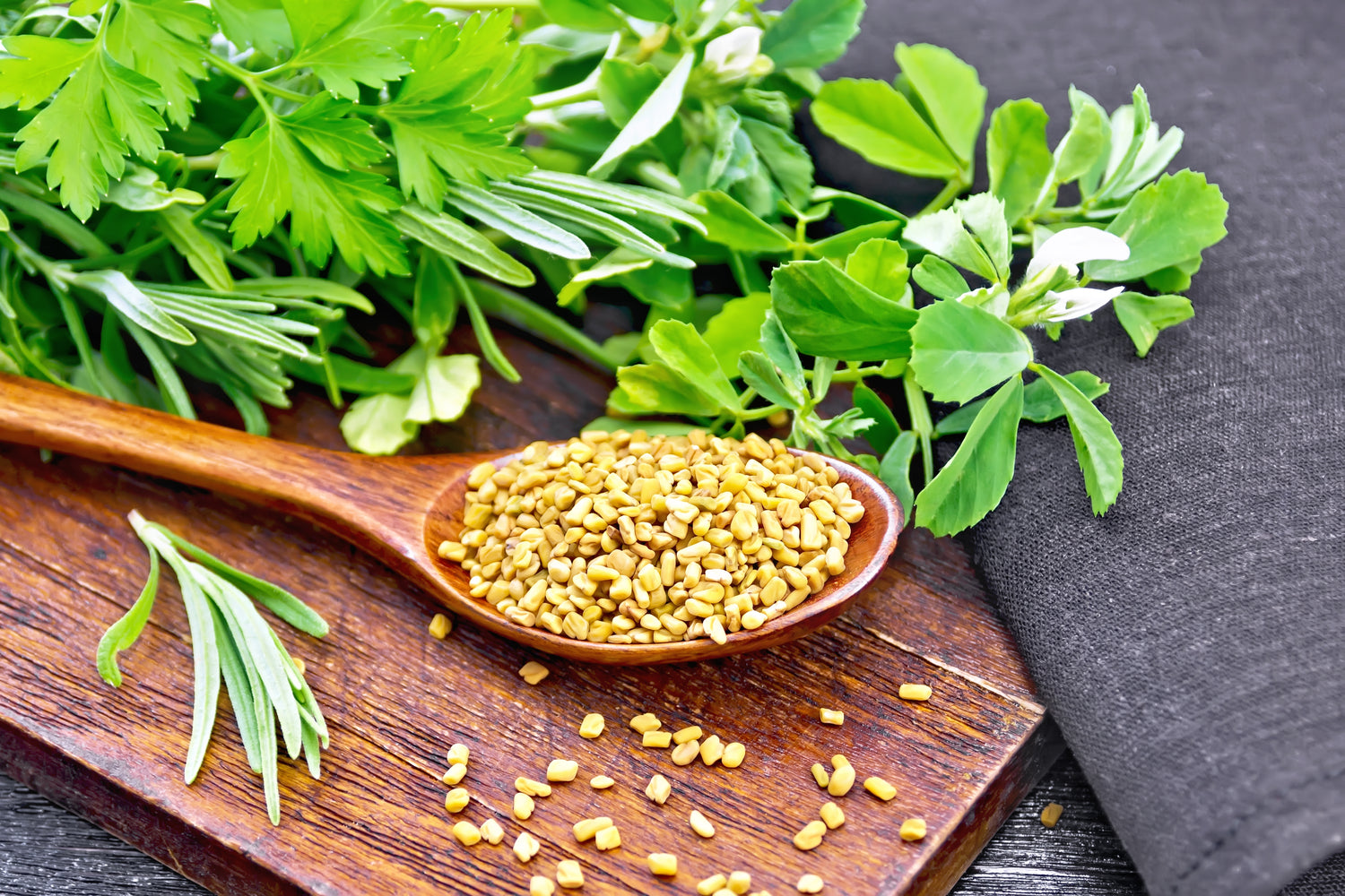 fenugreek